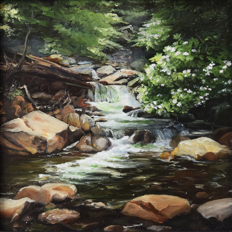 Abrams Creek — a small waterfall and clear stream over sunlit boulders with blooming mountain laurel