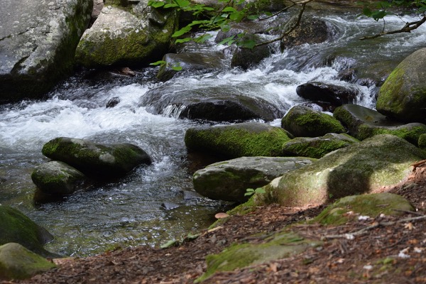 Reference photo — a rushing Smoky Mountain creek over mossy boulders