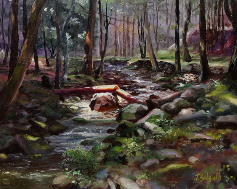 Broken — an early-spring forest creek with a fallen log across the water, bare purple-brown trees and new green along the banks
