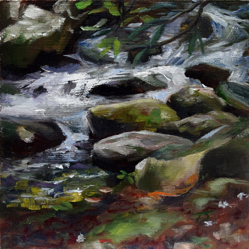 Exhale — a small, close study of silvery water rushing over dark, moss-covered rocks