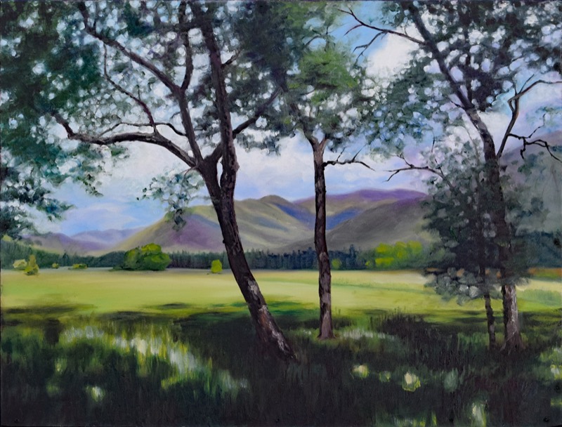 Into the Light — the Cades Cove meadow seen through dark tree trunks, sunlit grass opening to blue and violet mountains