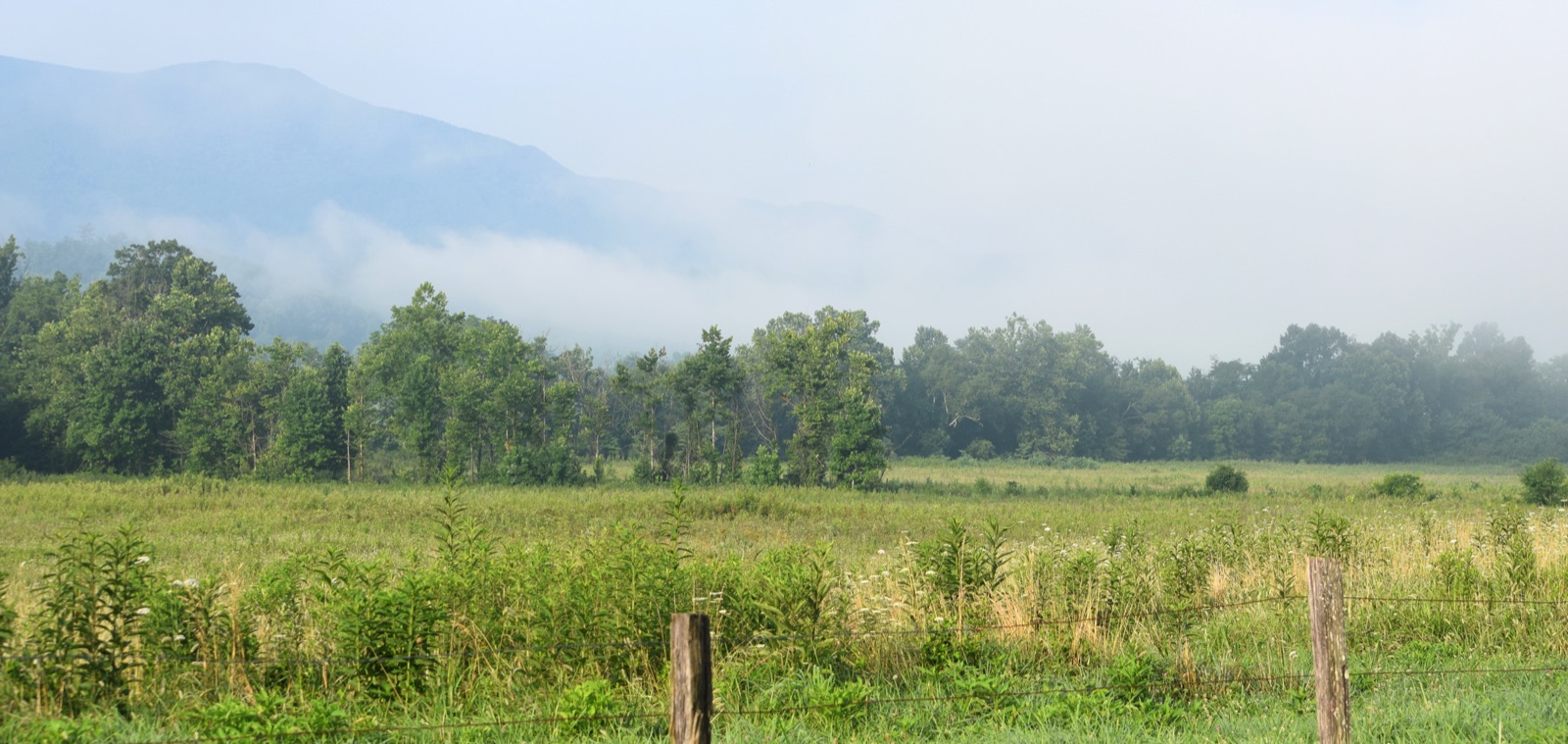 Cades Cove at dawn — fog lifting off a green meadow with a split-rail fence in the foreground and a Smoky Mountain ridge dissolving into mist behind