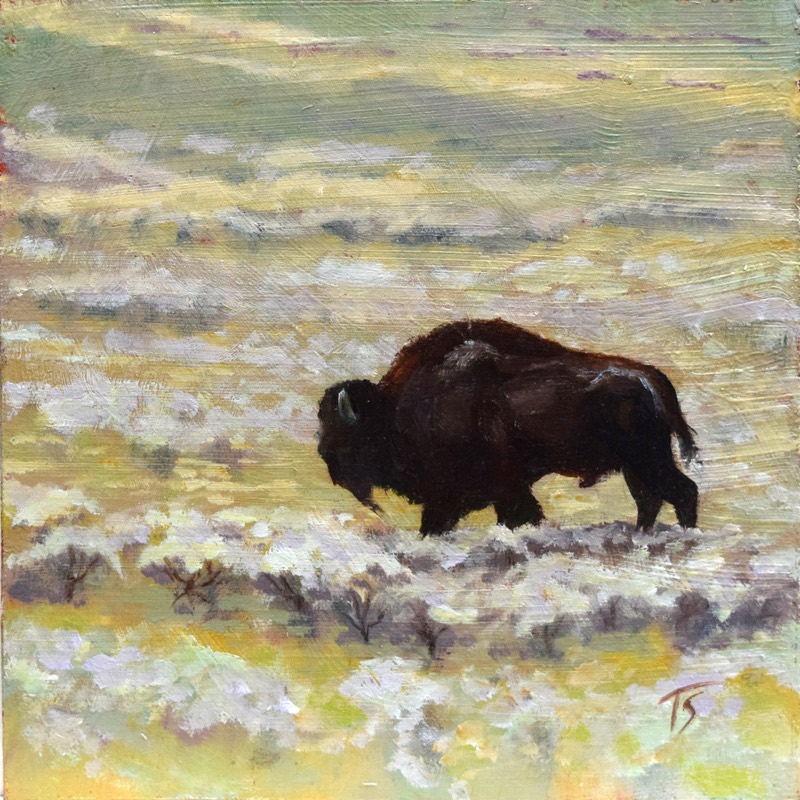 Biggie Boy — a small square oil of a massive bull bison, his shaggy brown coat and boulder-like head filling the panel