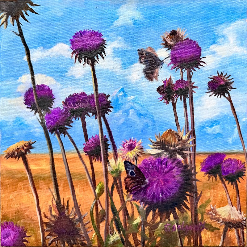 Teton Thistles — bright purple thistles alive with bees and small butterflies against the weathered brown logs of an abandoned ranch