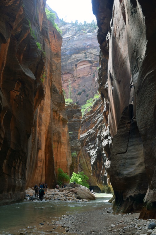 The reference photograph for The Light — slot canyon walls rising over hikers, light pouring down from above, the river below